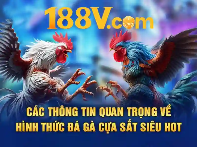 QUẦY VIỆN PHÍ Ô SỐ 9