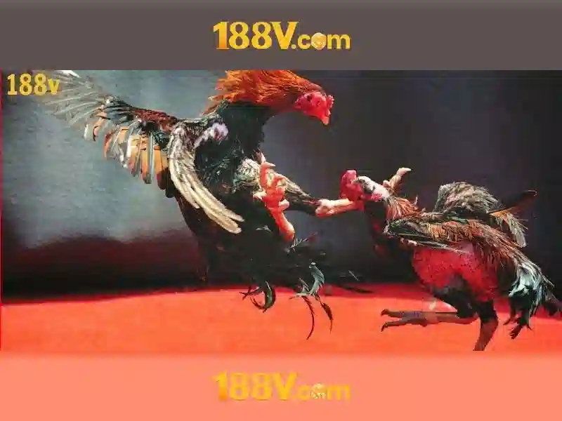 188v: một cái nhìn tổng quan