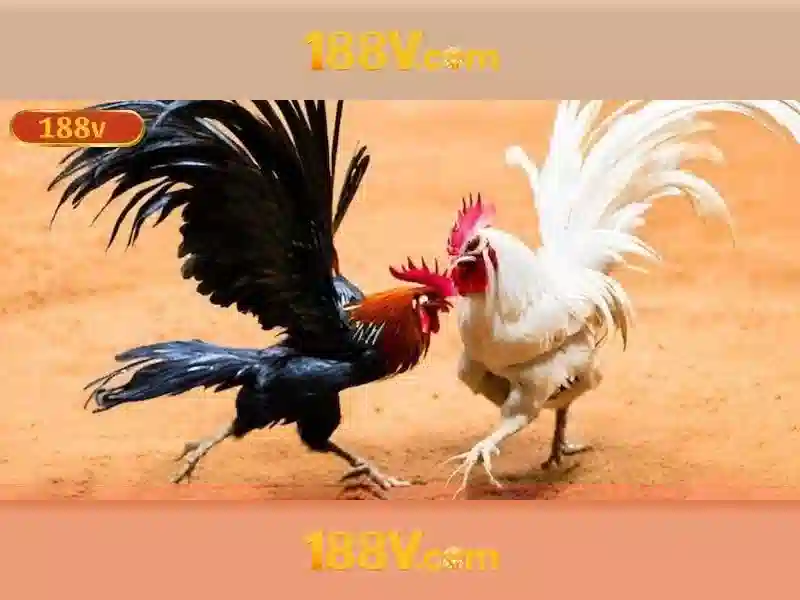 Các lĩnh vực liên quan của 188v\n<h>Ứng dụng và tương lai của 188v</h>\n<p><span style=