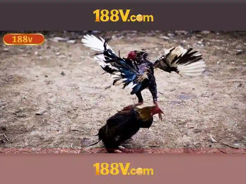 Đặc điểm kỹ thuật của 188V