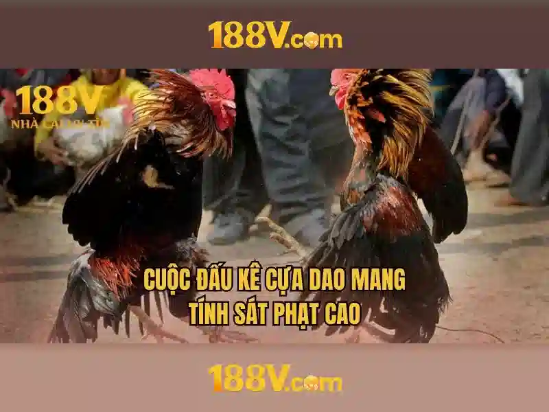 đăng nhập 188v – trải nghiệm uy tín và đánh giá