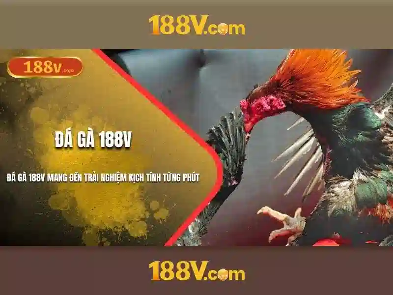 Tương lai của 188v và con người
