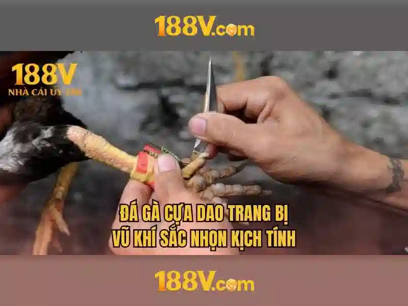 188v: một hành trình công nghệ và ý nghĩa của con số