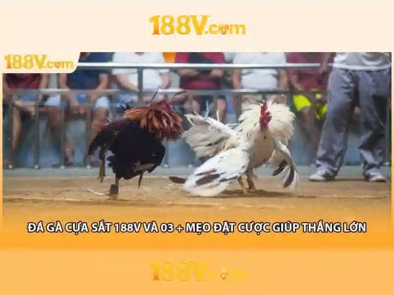 Cá cược thể thao 188v – Tổng quan và giá trị cốt lõi