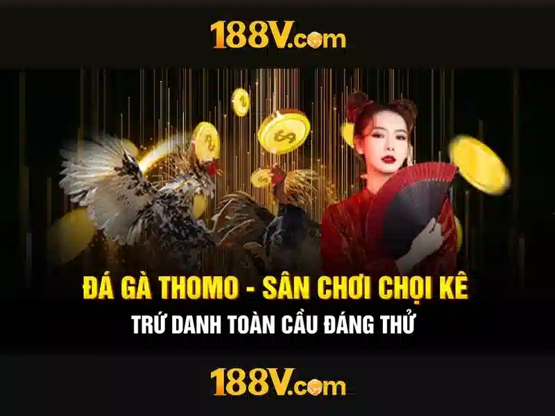 Trải nghiệm người dùng và phản hồi cộng đồng