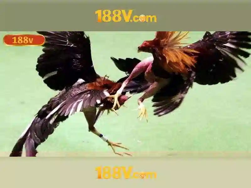 188v và hành trình của con số bí ẩn