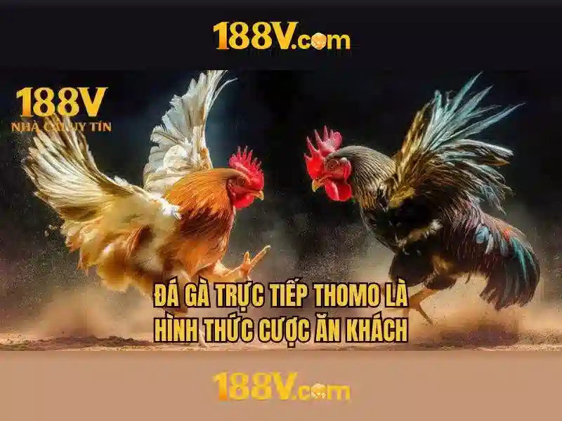 đăng nhập 188v – trải nghiệm uy tín và đánh giá