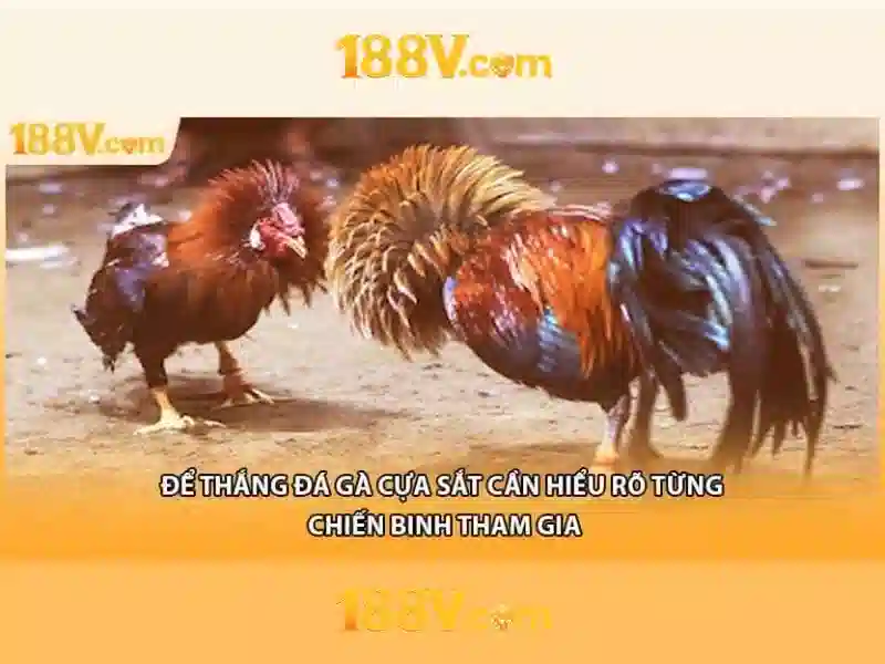 188v: Khái niệm và hành trình phát triển