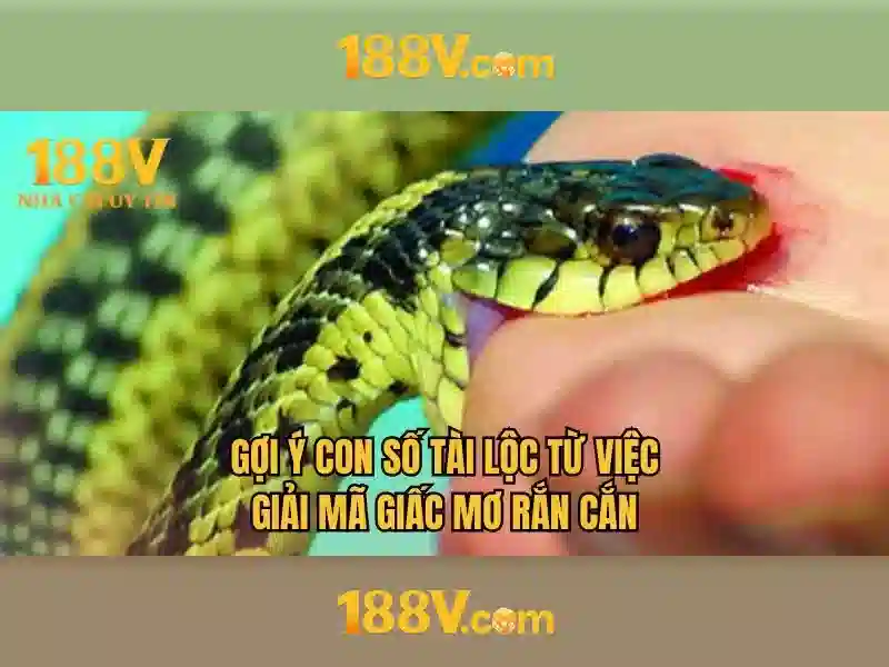 tại 188v — Hành trình trải nghiệm tại 188v và đánh giá uy tín