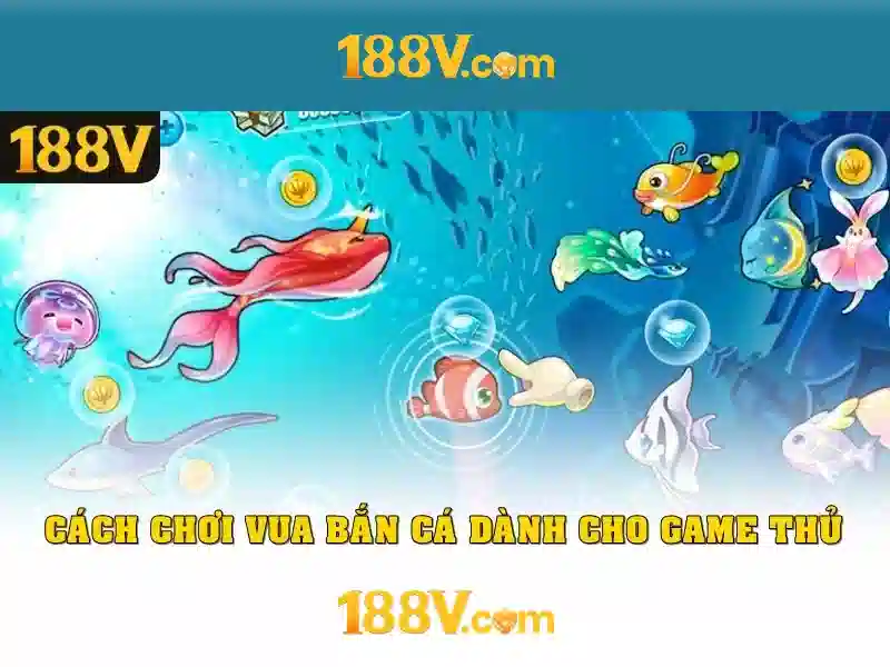 Hành trình âm thanh và hình ảnh