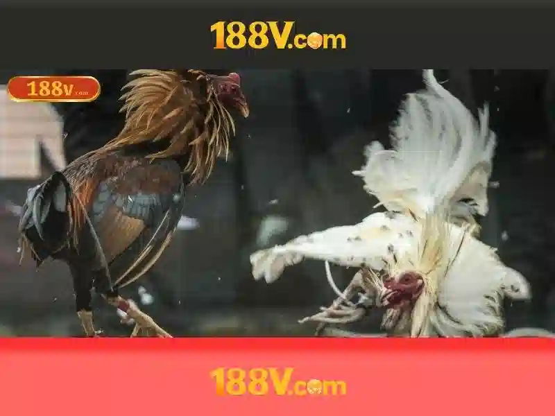 188v: một câu chuyện về ký hiệu và công nghệ