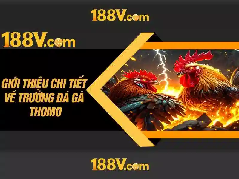 Khái niệm và ứng dụng của 188V trong điện áp an toàn