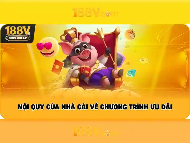 Trải nghiệm người dùng và phản hồi cộng đồng