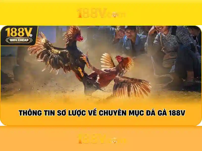 Ứng dụng và an toàn