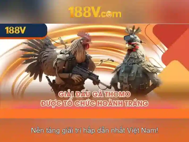 188v: Hành trình của ánh sáng và điện năng
