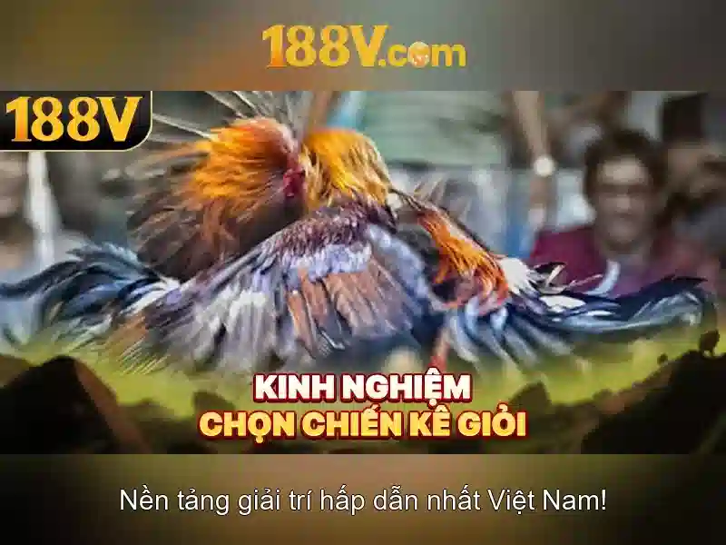 tai 188v: Trải nghiệm nổi bật cùng 188v fan và 188v apk