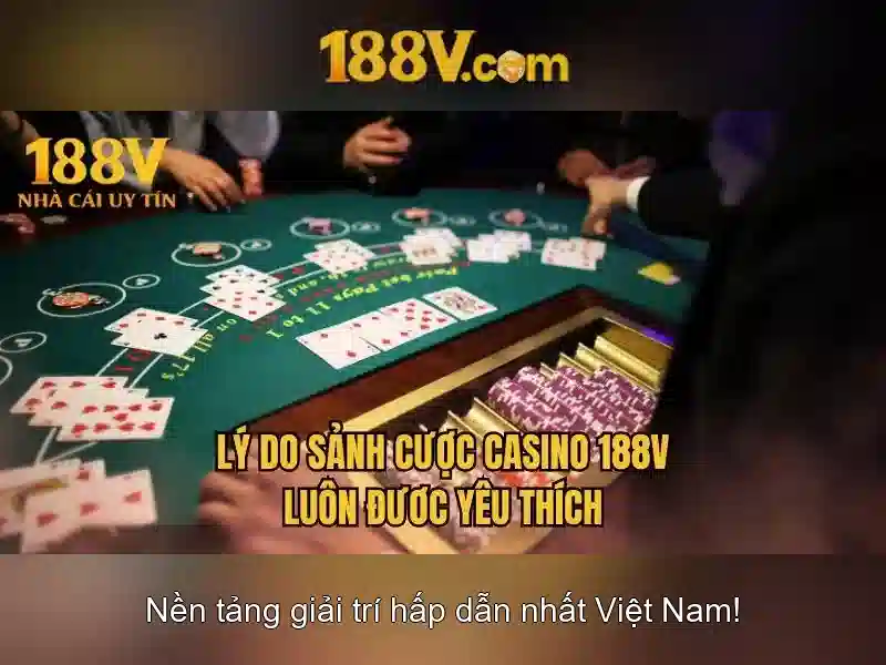 Trải nghiệm người dùng và phản hồi cộng đồng