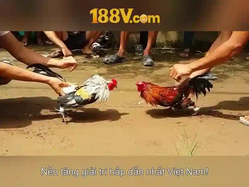 Khái niệm 188v trong công nghệ và nghệ thuật