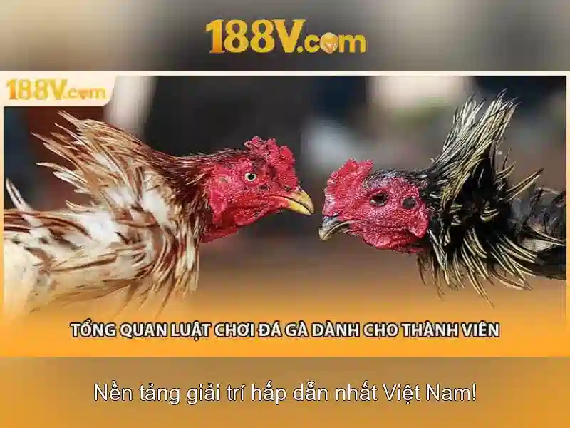 An toàn, môi trường và tương lai của 188v
