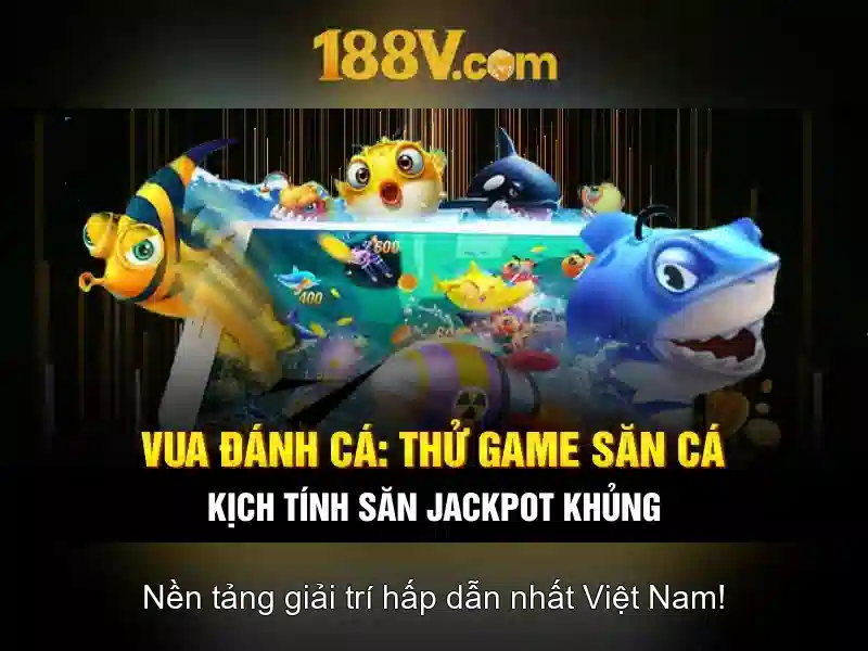 Trải nghiệm người dùng và phản hồi cộng đồng