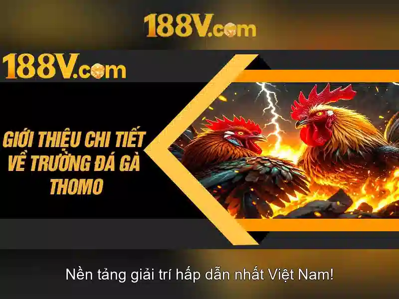 Bắn cá 188v – Trải nghiệm đột phá và giá trị cộng đồng
