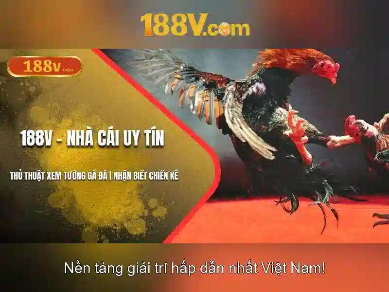 Sản phẩm và dịch vụ chính của 188v apk