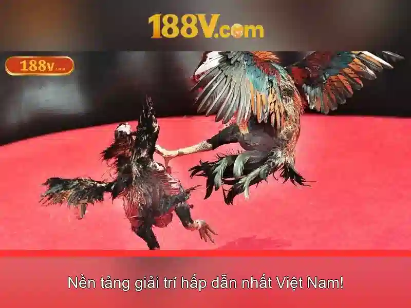 Ứng dụng và an toàn