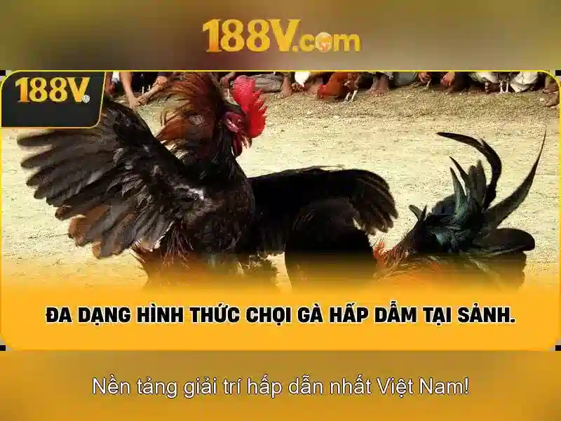 Cách tiếp cận và tầm nhìn tương lai