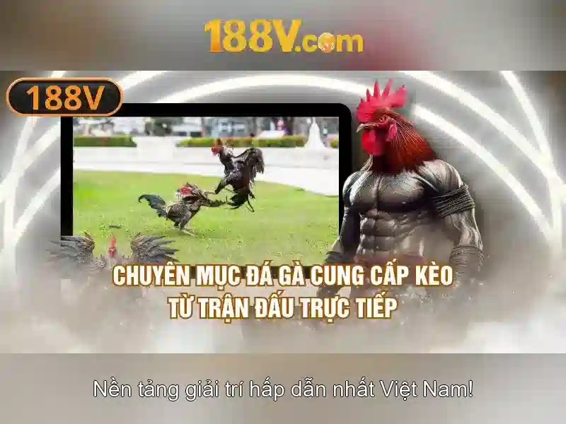 Khám phá 188v: một khía cạnh độc đáo