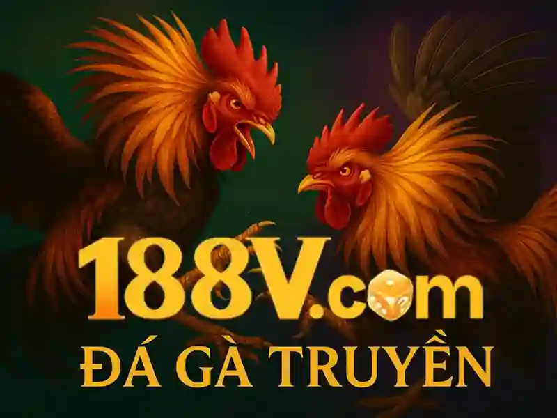 188v apk – Trải nghiệm, đánh giá và hỗ trợ 188v