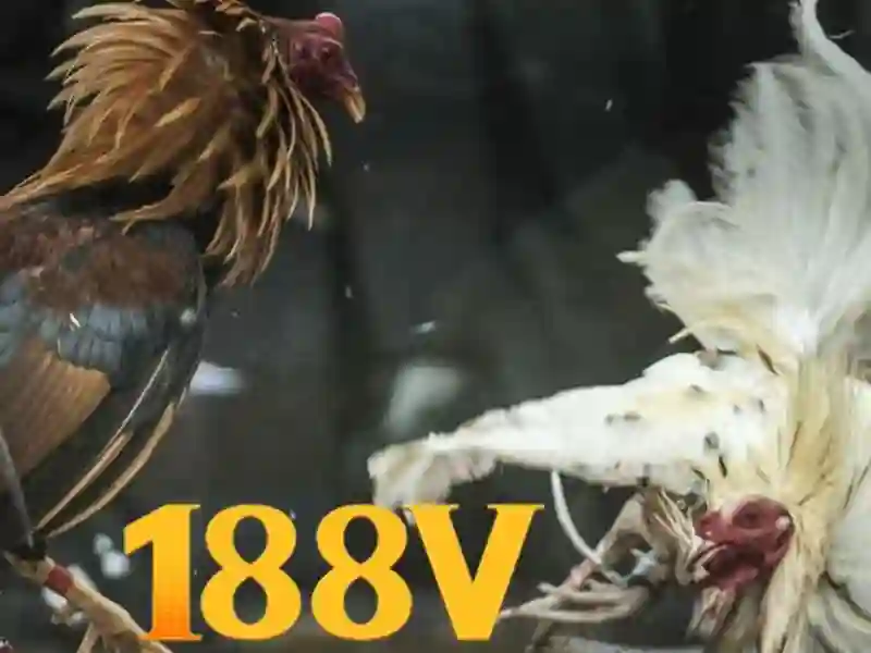 Loi ich khi tham gia uu dai tai nha cai 188v