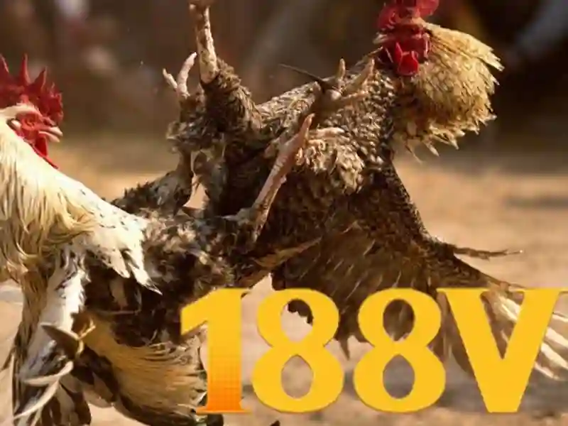 So sánh với các khái niệm liên quan 188v
